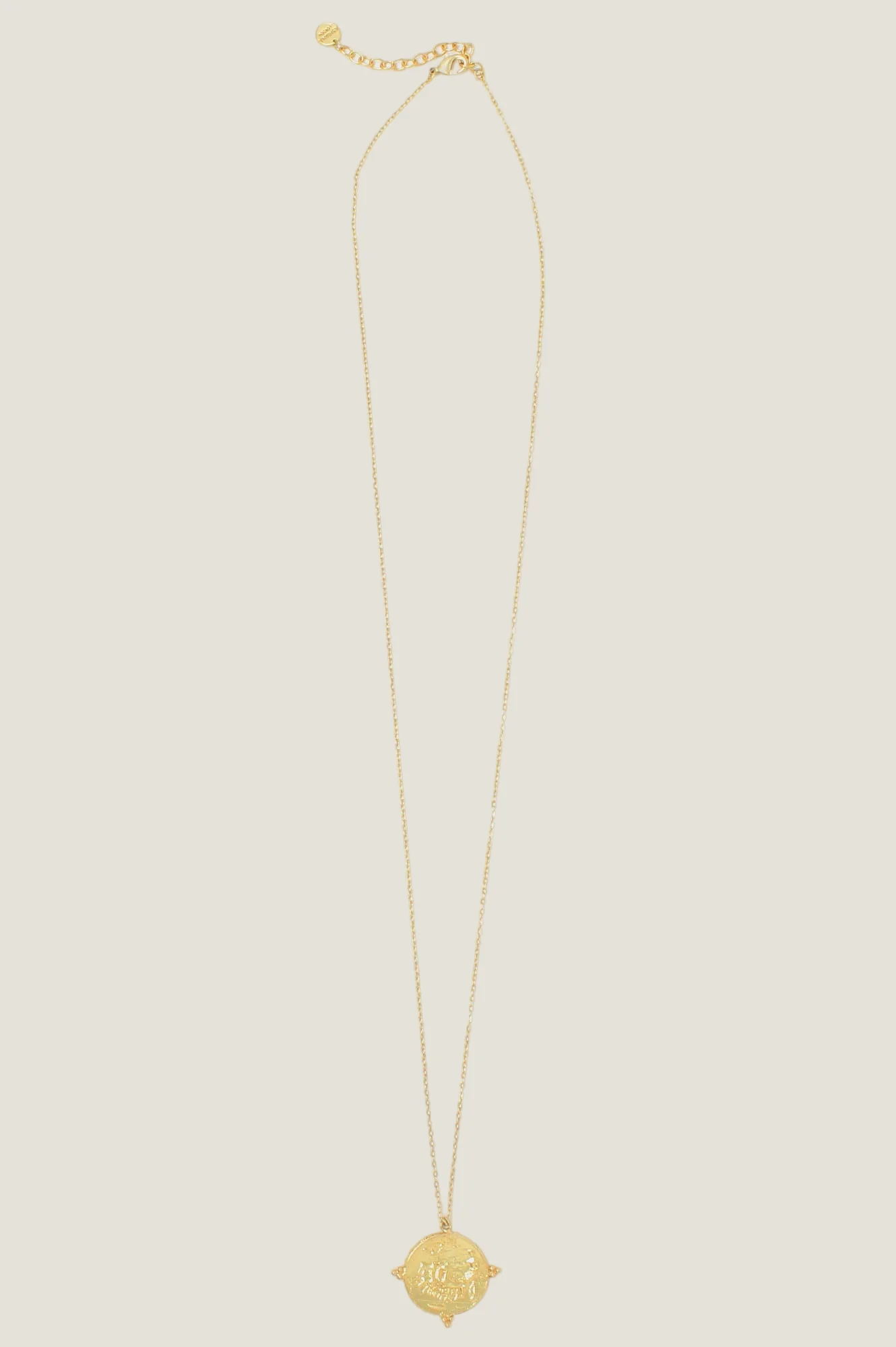 Long Coin Necklace | Gold - Image 3